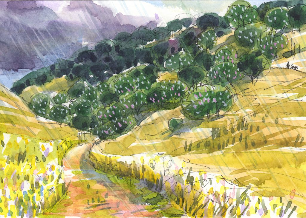 art, california art, Judith Zunzle