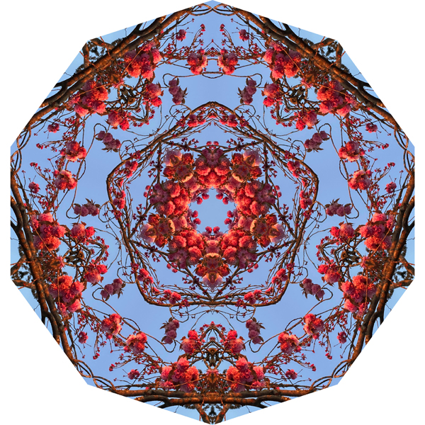 Mandala by Elizabeth Addison