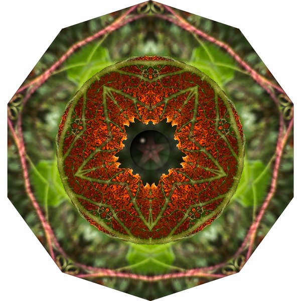 Mandala by Elizabeth Addison