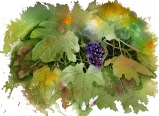 Grapes by Judy Rice