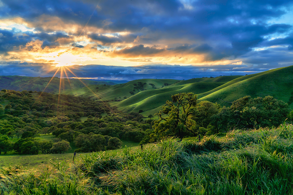 Green Hills at Del Valle