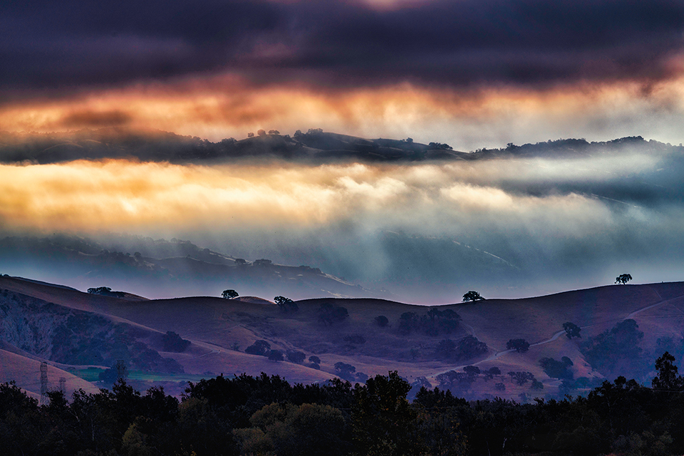 Light and Fog Along the Ridge