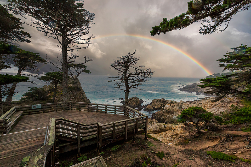 Lone Cypress Tree Lookout