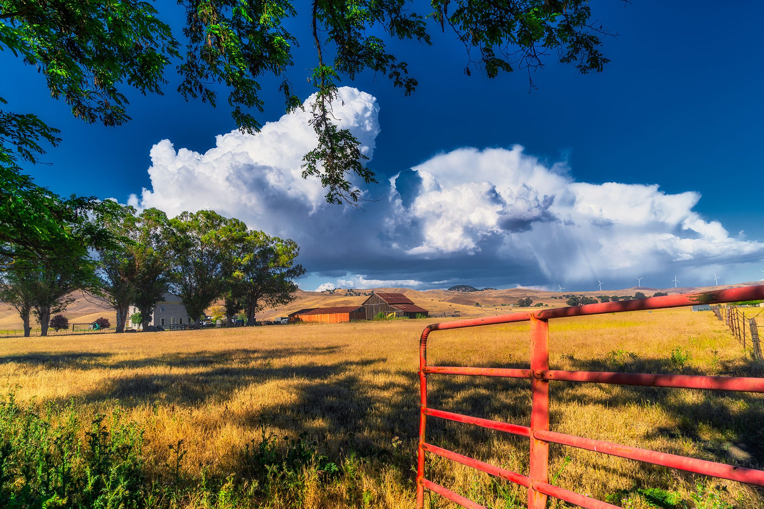 Red Fenced Range