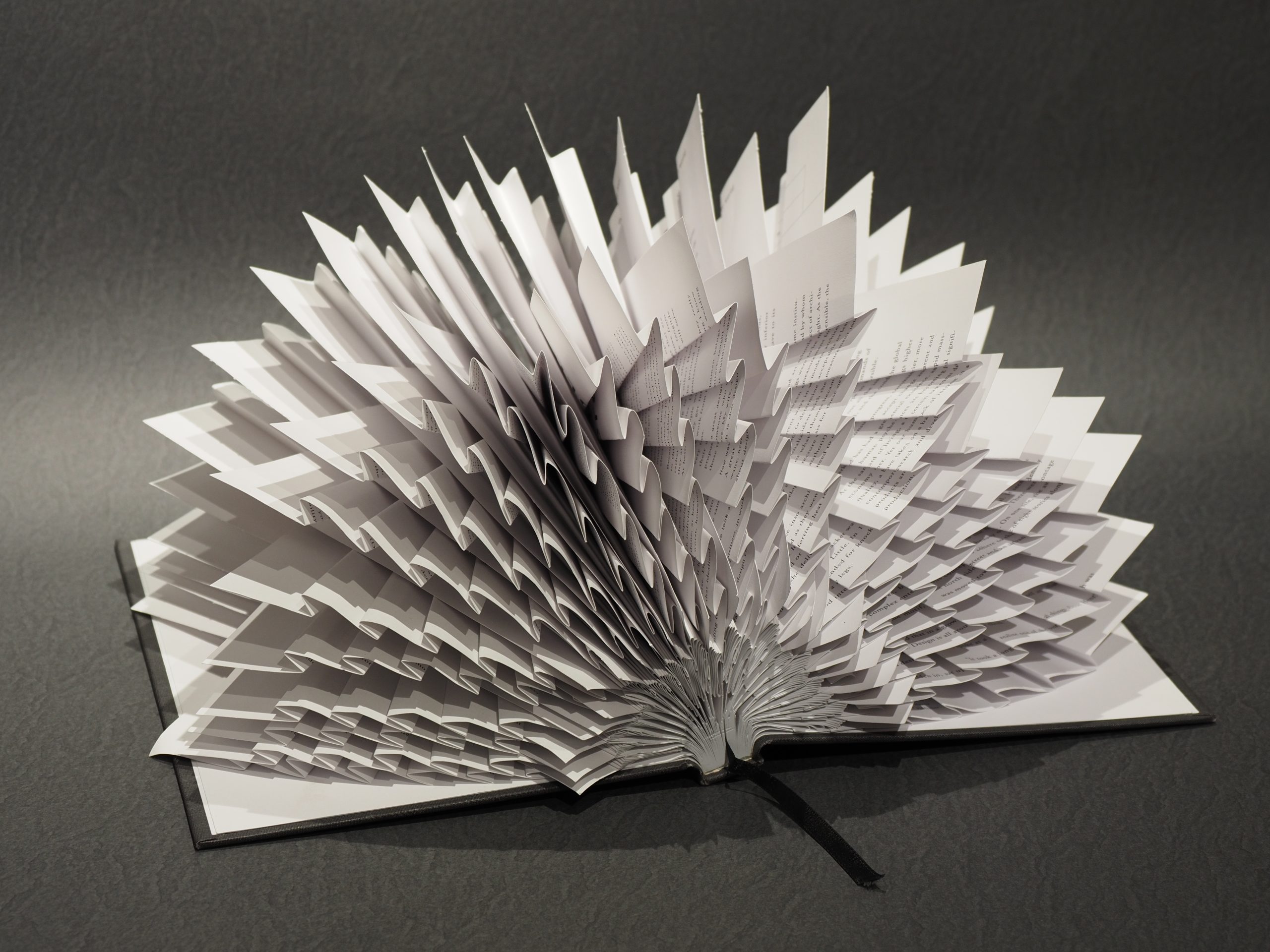 A Novel Twist on that "Ole Summer Reading" A book where each page is folded like origami. This is call the Origami Book by Goran Konjevod.