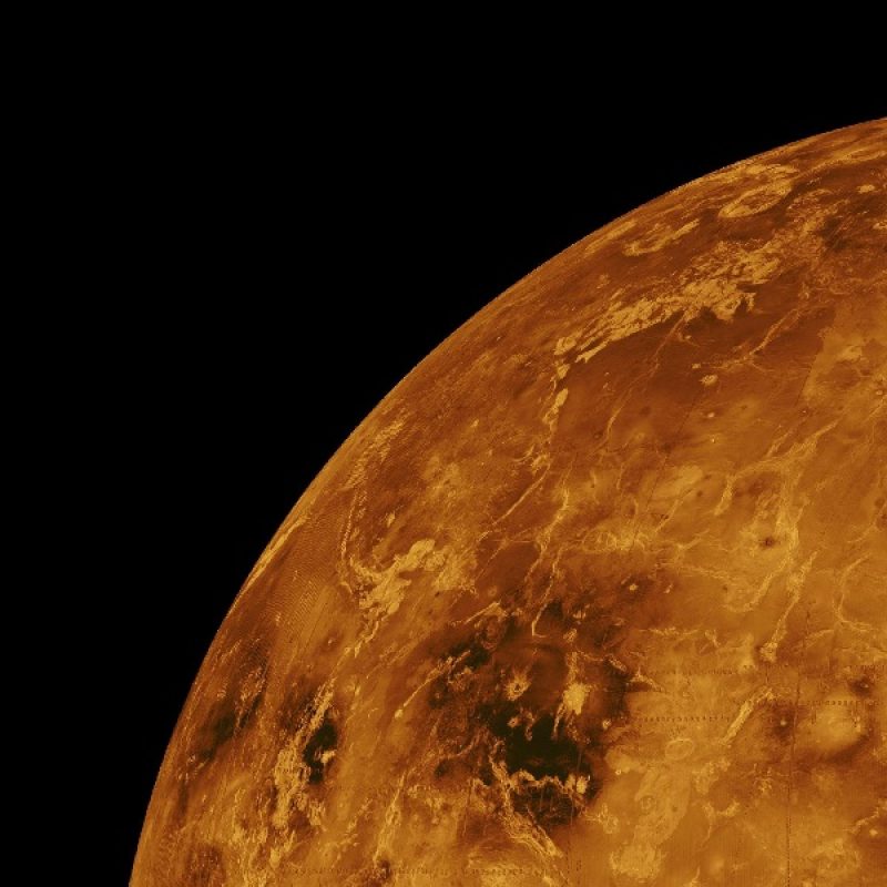124867194_venus-11022_600x600