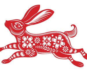 Papercut of Rabbit Lunar year symbol,Chinese Zodiac of Rabbit Year.