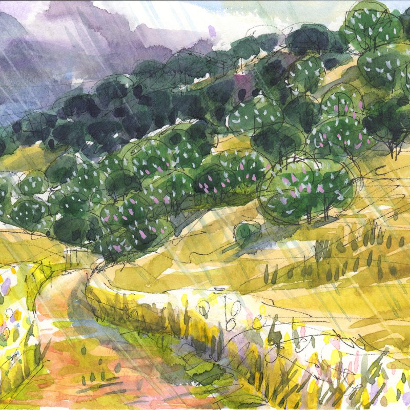 art, california art, Judith Zunzle