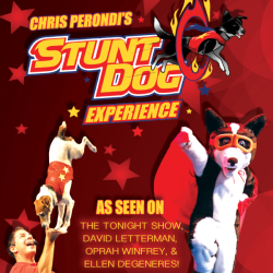 Stunt Dogs Web Main Event 600x600
