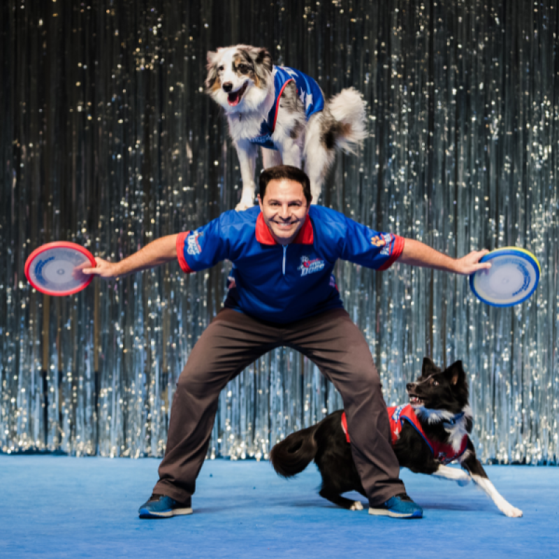 The Perondis Stunt Dog Experience 600x600